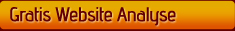 Website Analyse